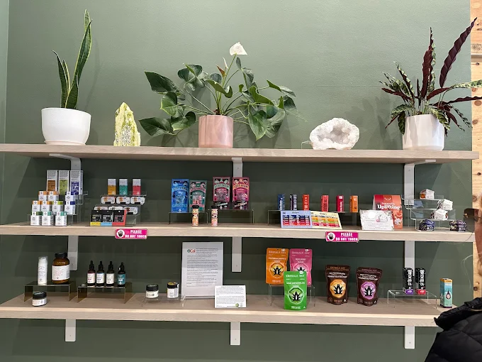 Cannavine San Francisco Store Display