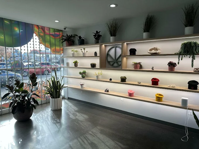 Cannavine Santa Rosa Store Display