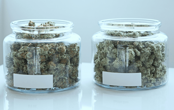 Cannabis 101: How to Store Weed