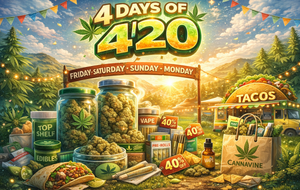 4/20 cannabis event scene with jars of weed, pre-rolls, vapes, tacos, and discount tags in a sunny outdoor setting with festive decorations and mountains in the background