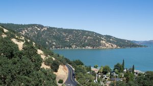 Clearlake Delivery Service