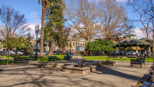 Santa Rosa Delivery Service