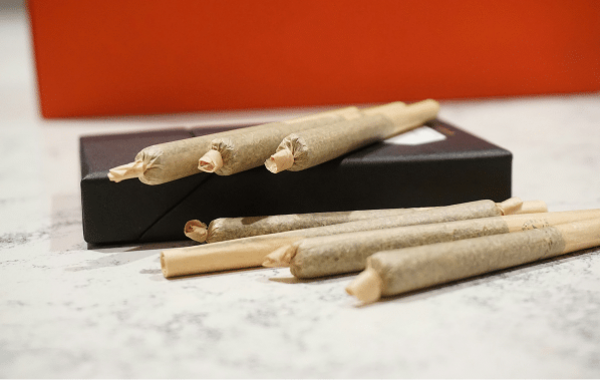 What Are Infused Pre-Rolls and Are They Worth It?