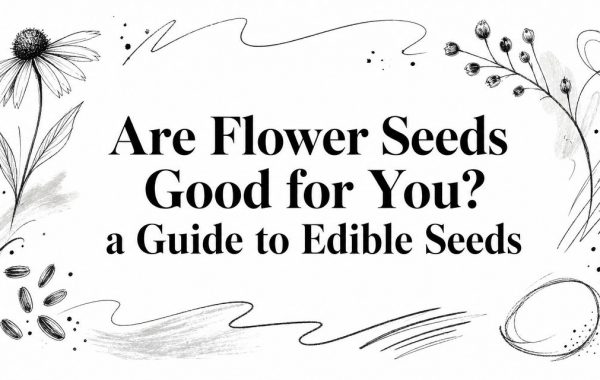 are-flower-seeds-good-for-you-edible-seeds.jpg