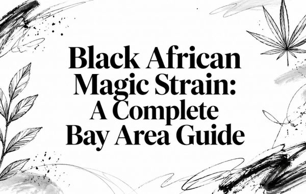 black-african-magic-strain-cannabis-guide.jpg