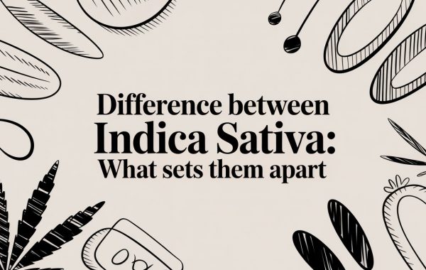 difference-between-indica-sativa-cannabis-strains.jpg