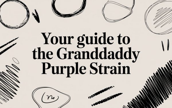 granddaddy-purple-strain-strain-guide.jpg