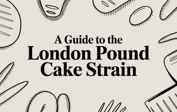 london-pound-cake-strain-abstract-cover.jpg