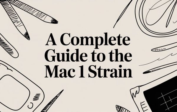 mac-1-strain-guide-title.jpg