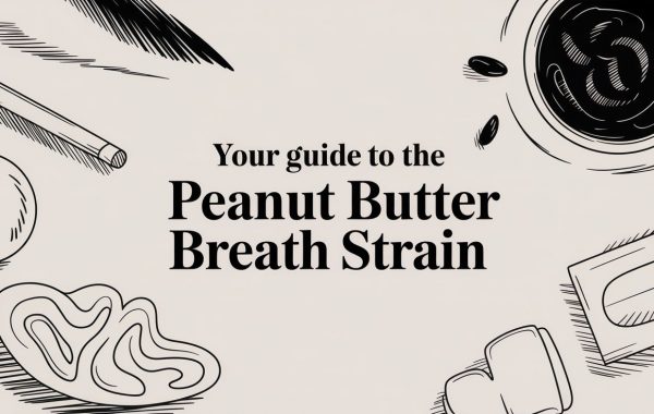 peanut-butter-breath-strain-guide-graphic.jpg